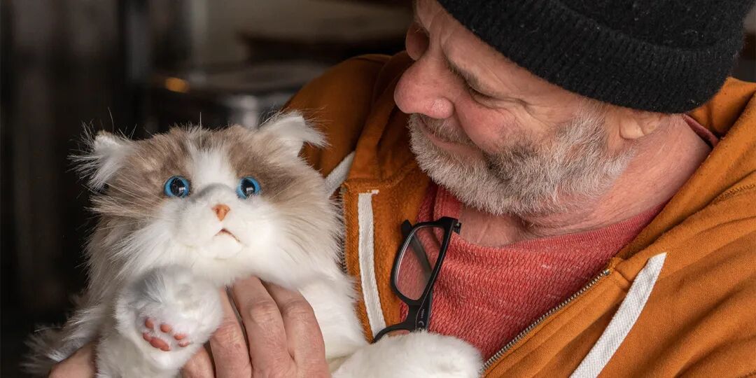 清华学霸押注亚马逊！高客单价毛绒玩具，年销暴涨 200%