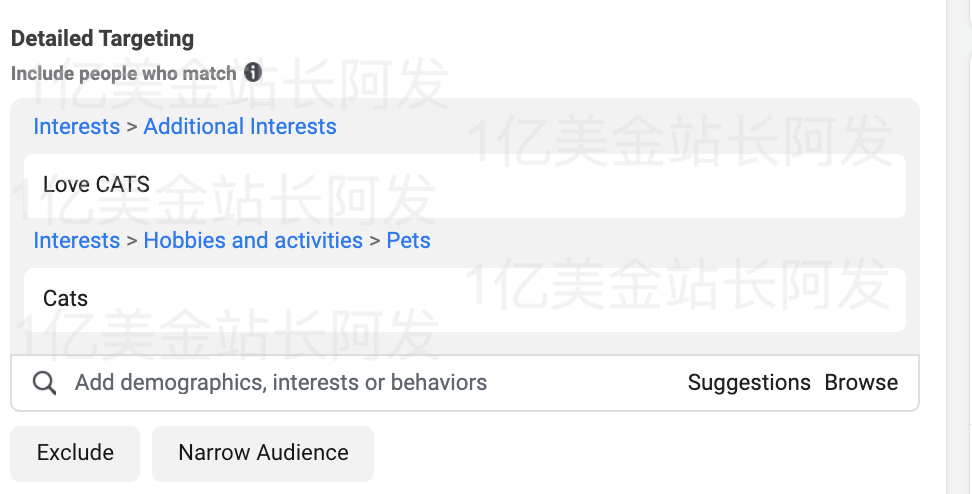 【7】史上最强独立站入门教程-Facebook广告入门