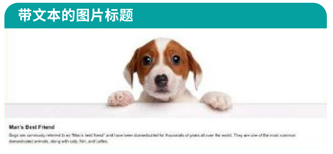 没摸清竞品情况？别急着为ASIN开启广告！