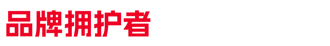 采访近10000名消费者后……《东南亚电商白皮书》来了！