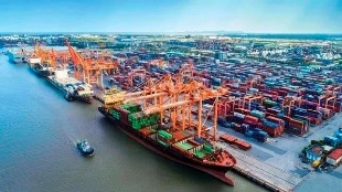 海运外贸为什么常使用集装箱船?海运货船有哪些种类?