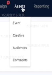 【9】史上最强独立站入门教程-TikTok广告入门