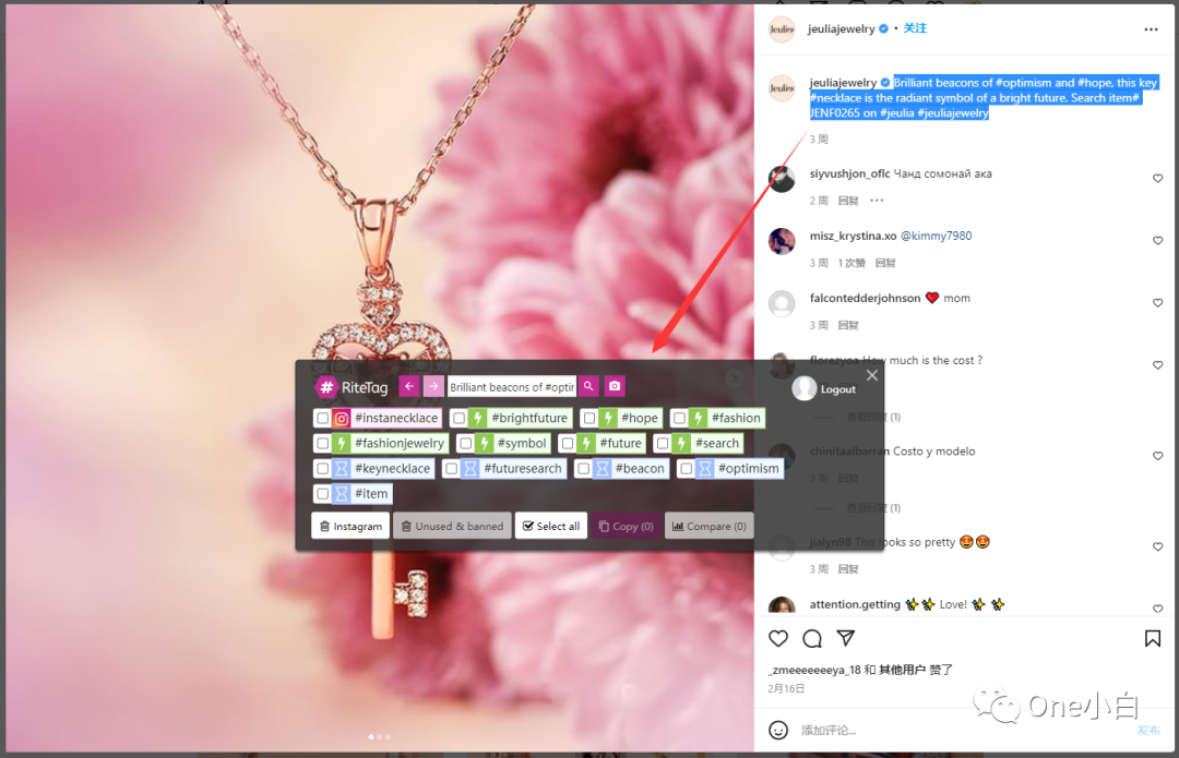 如何利用 Keywords Everywhere 的标签生成器功能找到更多热门的 Instagram Hashtag ？