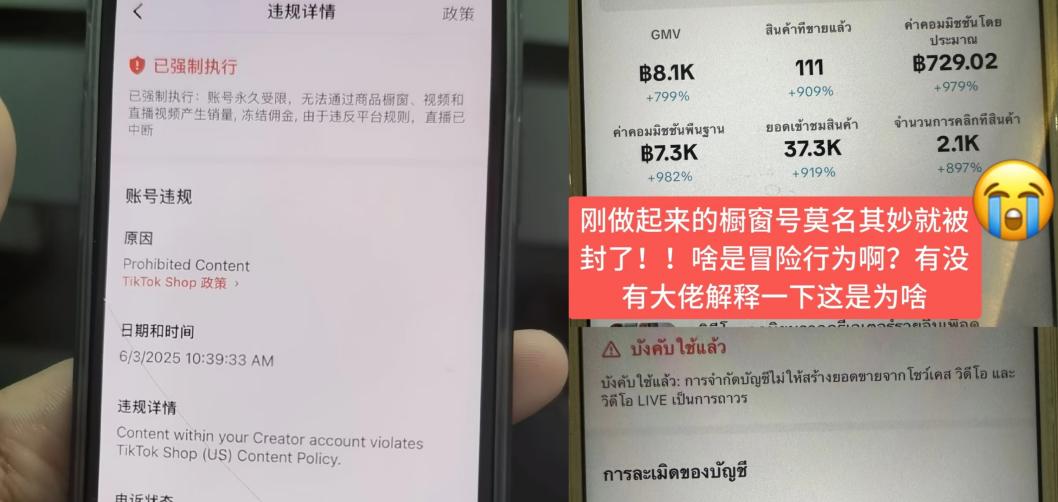 TikTok多账号运营难？TK云大师三招破局 ——注册快、养号稳、发布准