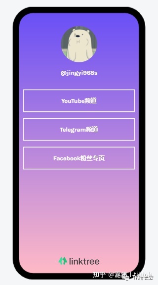 TikTok如何导流多个网站？