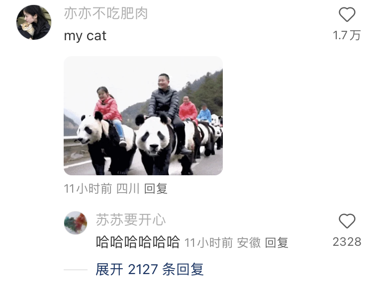 TikTok或遭禁，小红书火爆“海外” ，跨境人的“逆袭”风口来了！