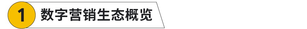 打通全链路营销，扬帆全球时尚美妆市场