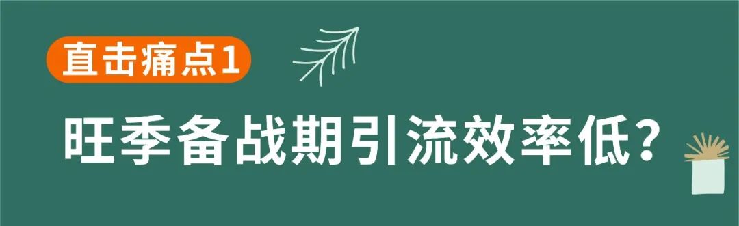 旺季爆单必须砸钱？大卖带你KO高引流成本！
