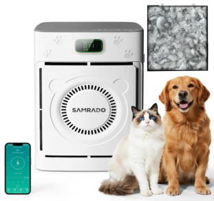 猫咪爱上混凝土！宠物赛道正被这些“反常识”爆款改写