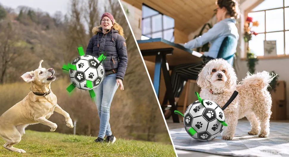 不断有链接被下架!?一波热销宠物用品“悄悄布局专利”,紧急规避!