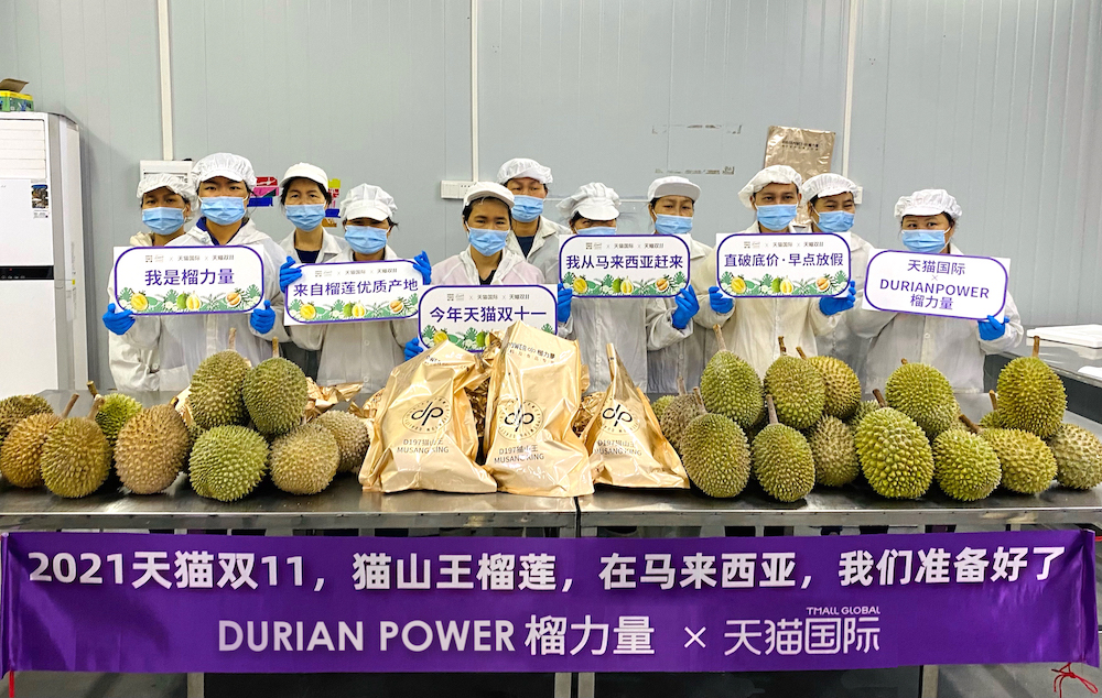 进口消费旺盛彰显内需潜力，双11天猫国际成交破百万品牌数增长46%