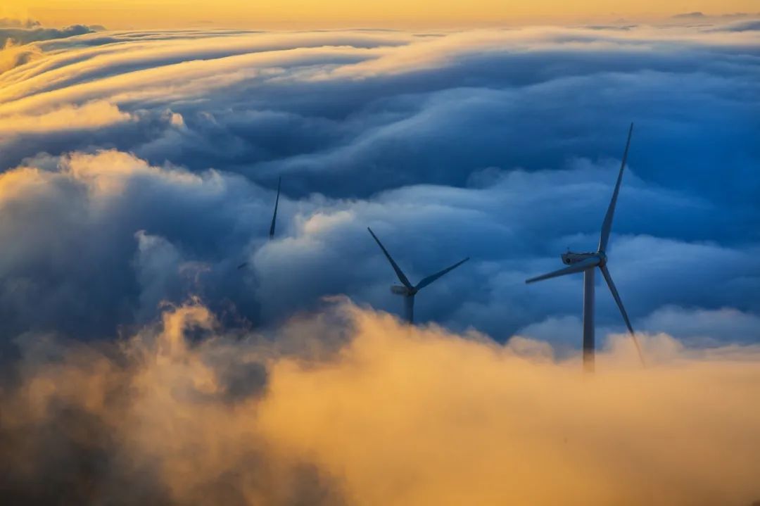 微软、Facebook、阿里巴巴……大厂协同创新的终极要义是公开专利?