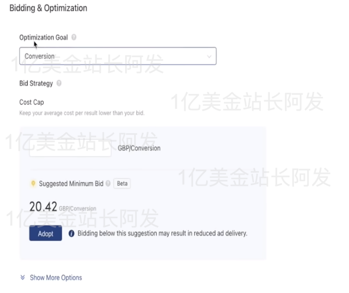 【9】史上最强独立站入门教程-TikTok广告入门