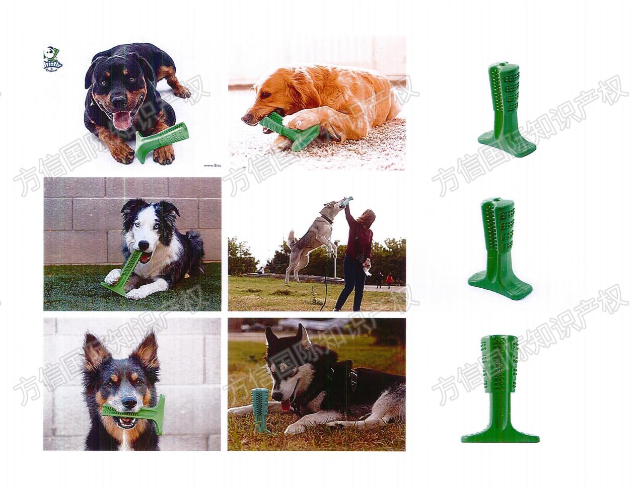 商标专利版权全方位维权！119个卖家中招，Bristly 宠物咀嚼玩具危险！