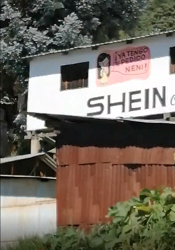 外媒：SHEIN“实体店”养活一批代购人