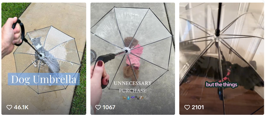 猫咪爱上混凝土！宠物赛道正被这些“反常识”爆款改写