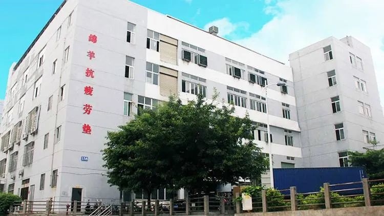 25亿美元！“神奇小类”销量飙升，席卷北美！