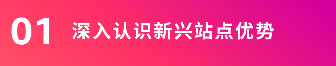 抓住潜力站点「差异化」，精准突破流量难题