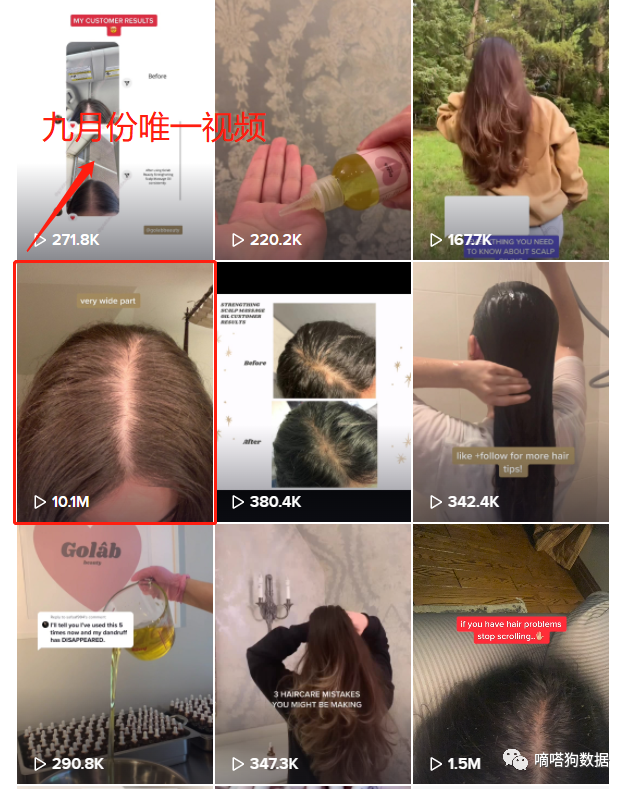 亚马逊搜索飙升,TikTok爆款“迷迭香生发油”成为老外植物护理“新欢”