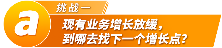 在亚马逊一笔订单$40万？免费开通它，获取全球600万+优质企业买家采购大单