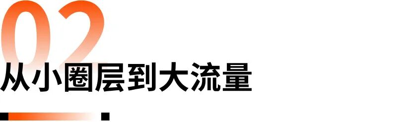 “黑五网一”DTC投放数据复盘,流量都去哪了?