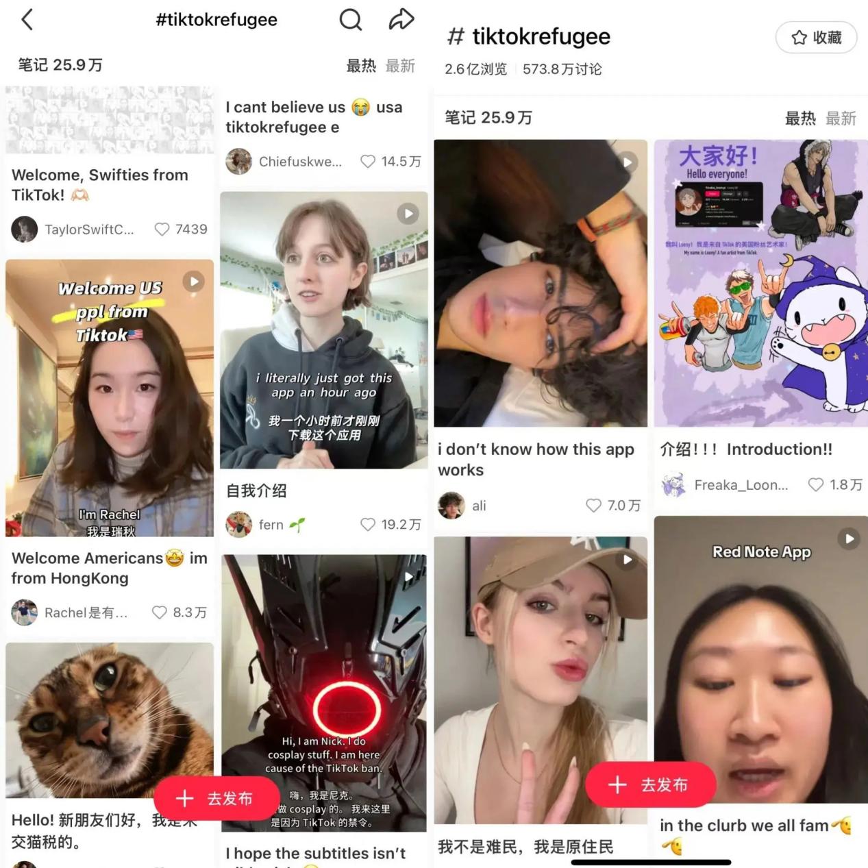 “TikTok难民”涌进小红书，这波流量集运代购企业怎么接？