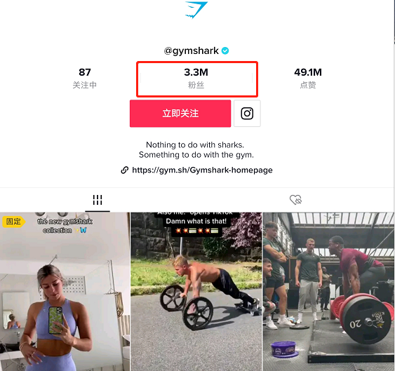 出海企业如何通过tiktok风口变现