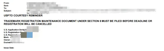 突发！大批亚马逊店铺品牌失效，这些美国商标面临撤销风险！