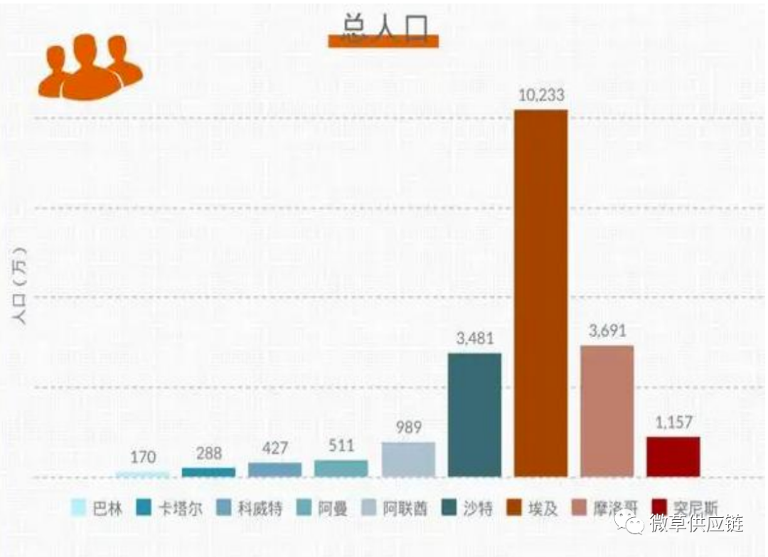 中东市场解析：一文带你了解noon平台！
