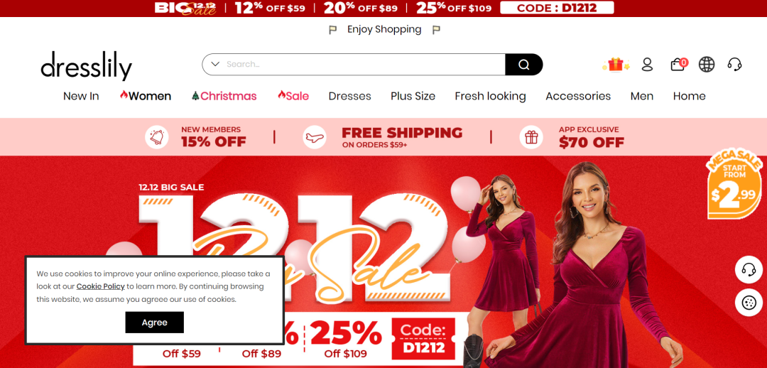 深圳大卖两个独立站获近400万资助！