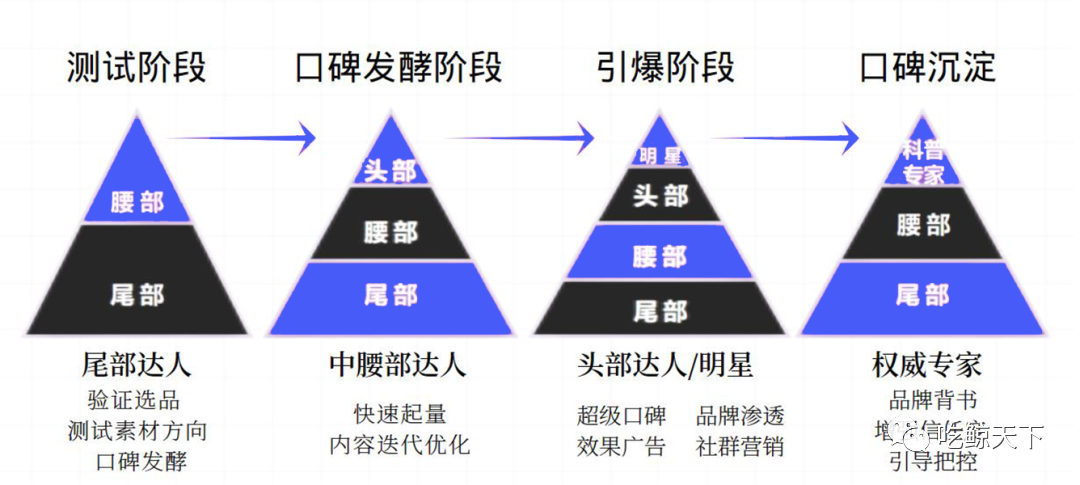 重量级干货，亚马逊出海品牌如何玩转海外网红营销