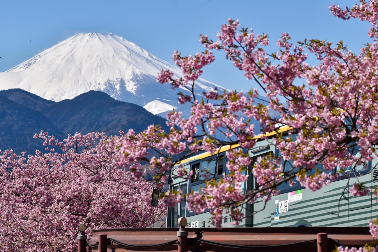 2025年日本趣天市場(chǎng)營(yíng)銷節(jié)點(diǎn)全攻略！促銷日歷與銷售策略解析