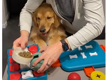 慎卖!留评7W+的Best Seller产品已有专利