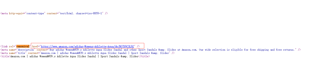谷歌SEO | 什么是Canonical URL规范链接?