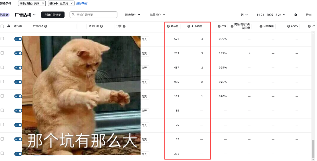 亚马逊运营梳理-广告板块商品推广多变体实操运用篇（一）