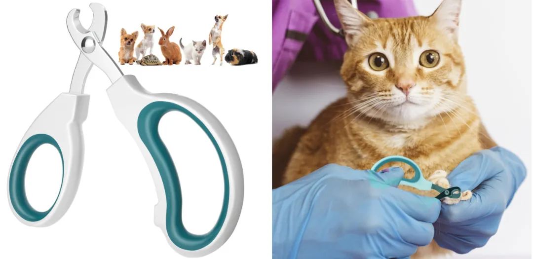 月销量20K+宠物用品专利盘点!宠物指甲剪、美容手套、项圈风险暴增!