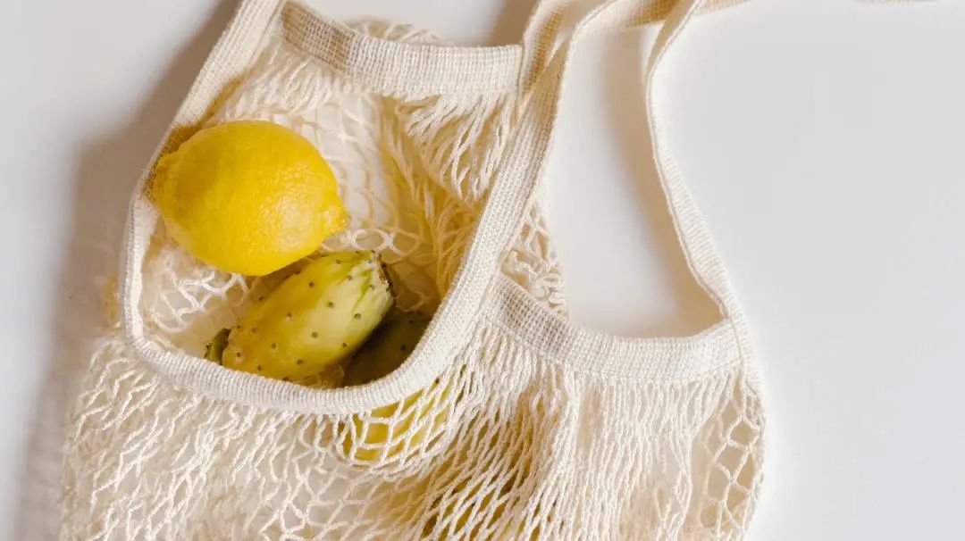 想不到地球日里面竟藏着流量密码！ Shopify 超全营销指南助您打开环保市场！