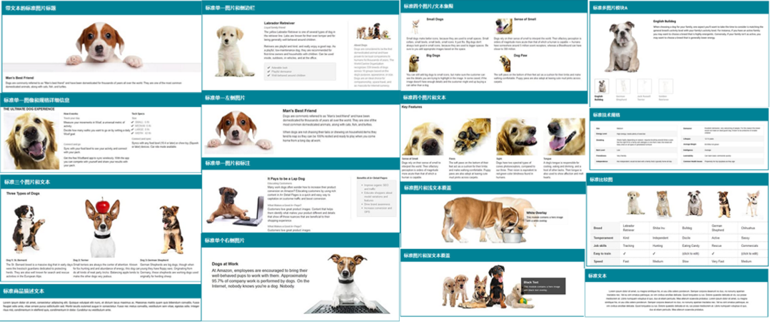 亚马逊公布Listing自测表！低于80分建议马上调整！