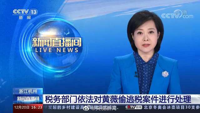 “薇娅偷逃税款被罚13.41亿”释放了什么信号?卖家要警惕什么?