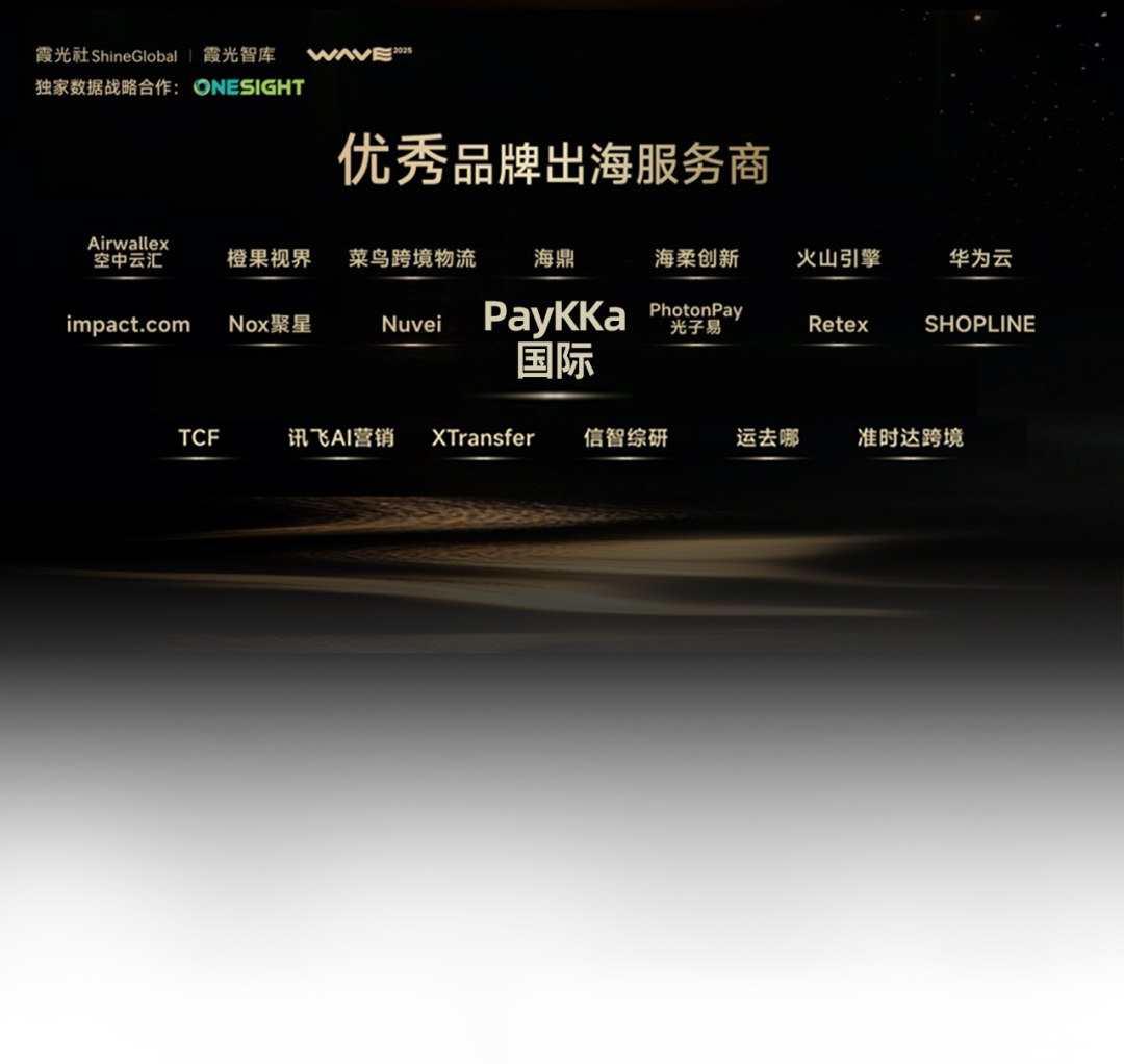 跨境支付新标杆丨PayKKa斩获WAVE 2025"优秀品牌出海服务商"大奖！