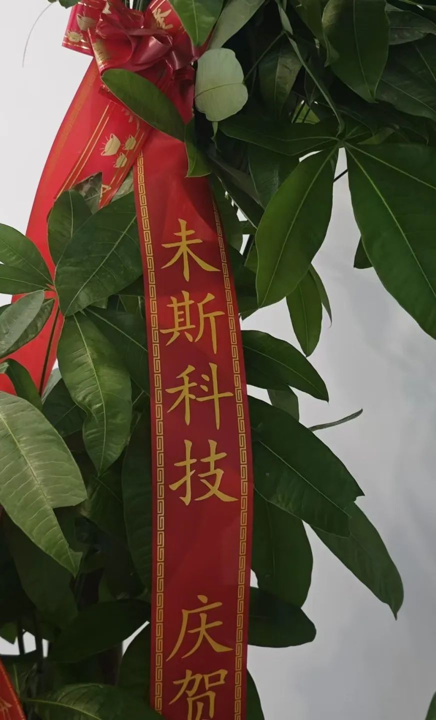 WallTech总部乔迁新址,开启未来新篇章