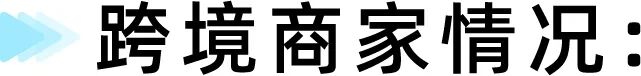 暴涨四倍！匹克球成TikTok Shop东南亚跨境新晋热门类目！