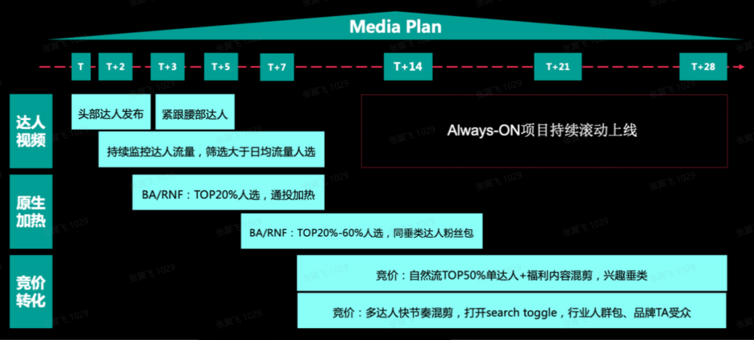 一“鱼”三吃，做好TikTok达人营销策略