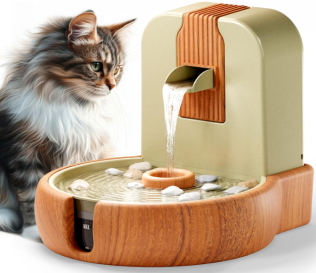 猫咪爱上混凝土！宠物赛道正被这些“反常识”爆款改写