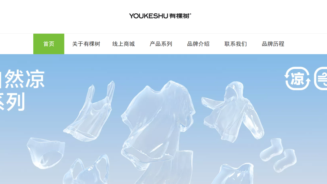 晨北、择尚、有棵树：谁杀死了跨境巨头