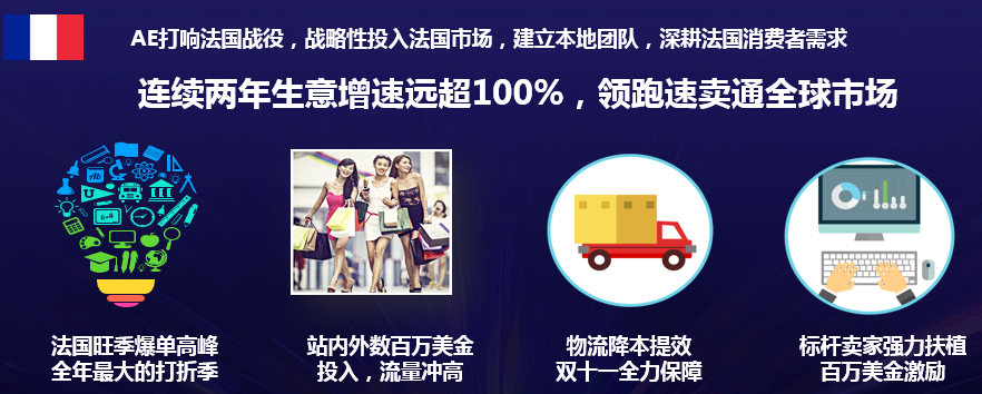 站内外合力引爆双11流量，360度市场投入满足法国波兰市场多元需求