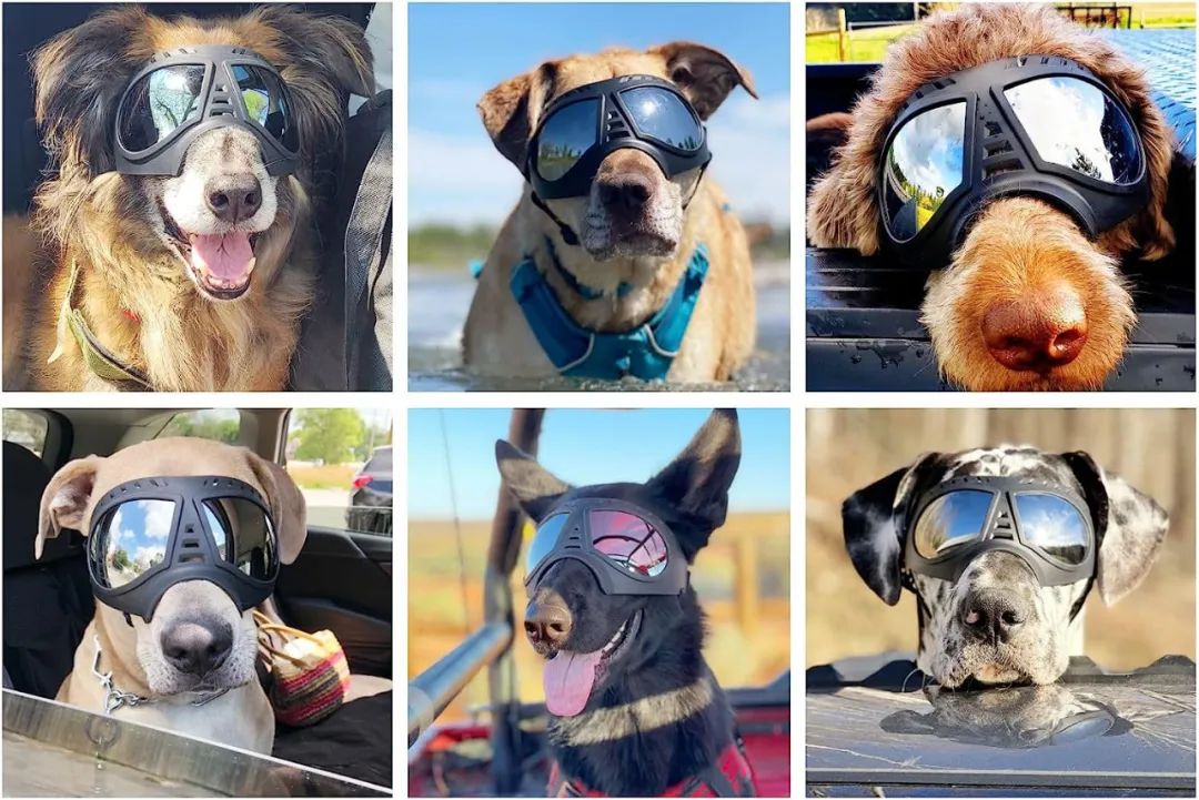 不断有链接被下架!?一波热销宠物用品“悄悄布局专利”,紧急规避!