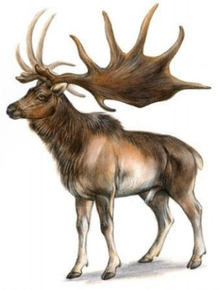 紧急！Listing有用这个词汇的立即下架，已有138家店铺被起诉！