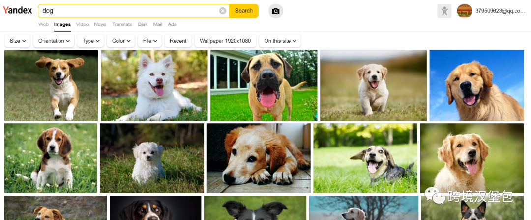 4000字60图长文精心整理17款跨境电商工具，建议收藏！