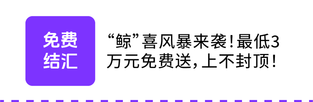 跨境菜鸟上班第一天，PayPal就要收15万美金货款...
